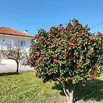 Maison Miranda Nord Portugal Prázdninový dům Represas