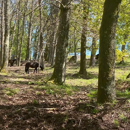 Maison Miranda Nord Portugal Prázdninový dům *
