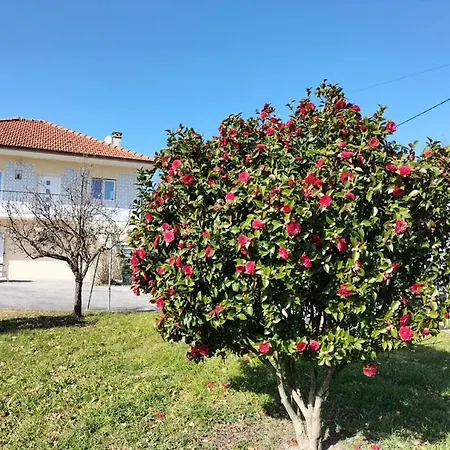 Maison Miranda Nord Portugal 度假居 Represas