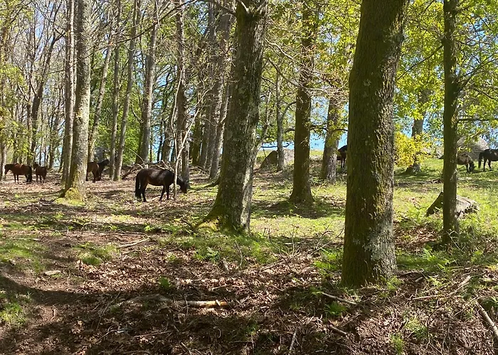 Maison Miranda Nord Portugal Prázdninový dům *
