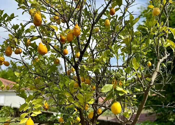 Maison Miranda Nord Portugal *